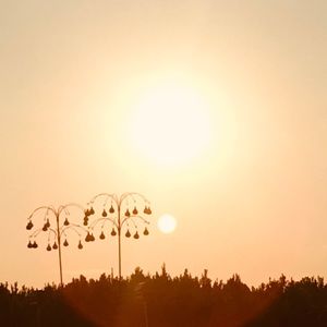 Meet your Posher, Hollisyn